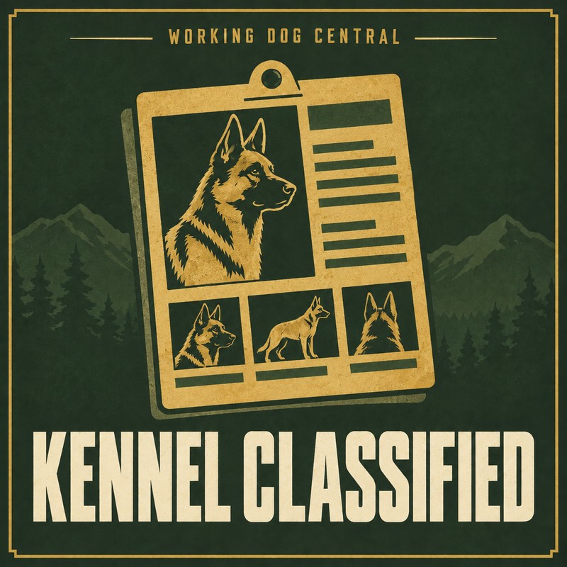 Kennel Classified